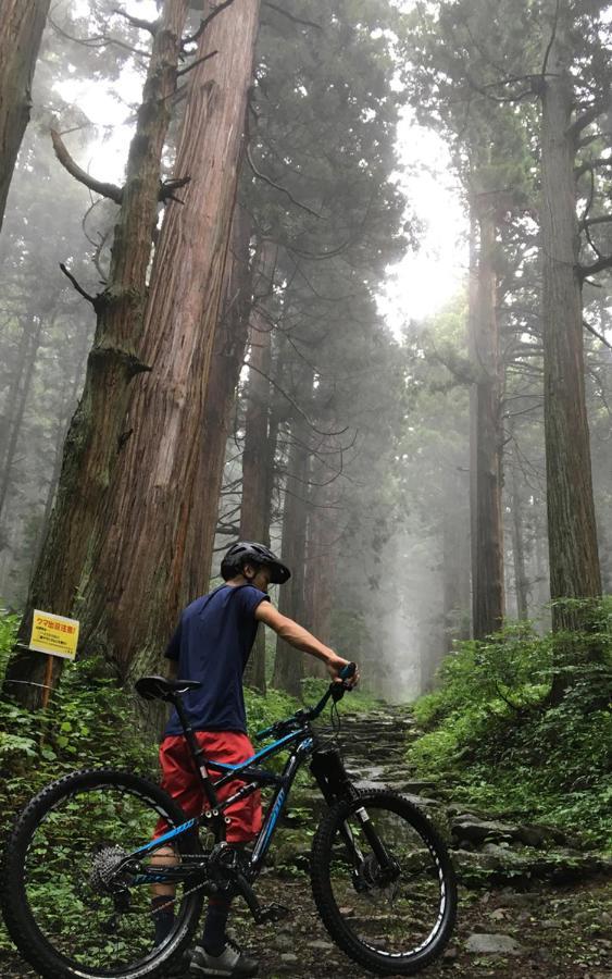 野沢景嶋田屋日式旅馆