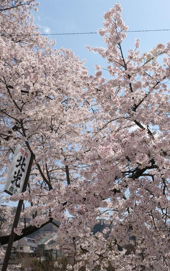 传统日式旅馆 野沢景嶋田屋日式旅馆 野沢